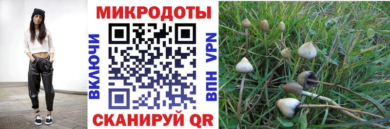 Галлюциногенные грибы Cubensis  Сибай 